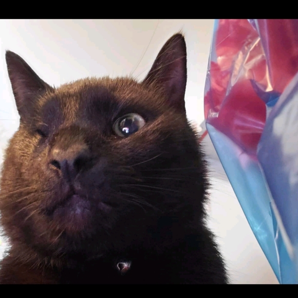 Out with the boring; in with the humor! Read on . . . 👜👚👠👛💍 - Picture 11 of 16